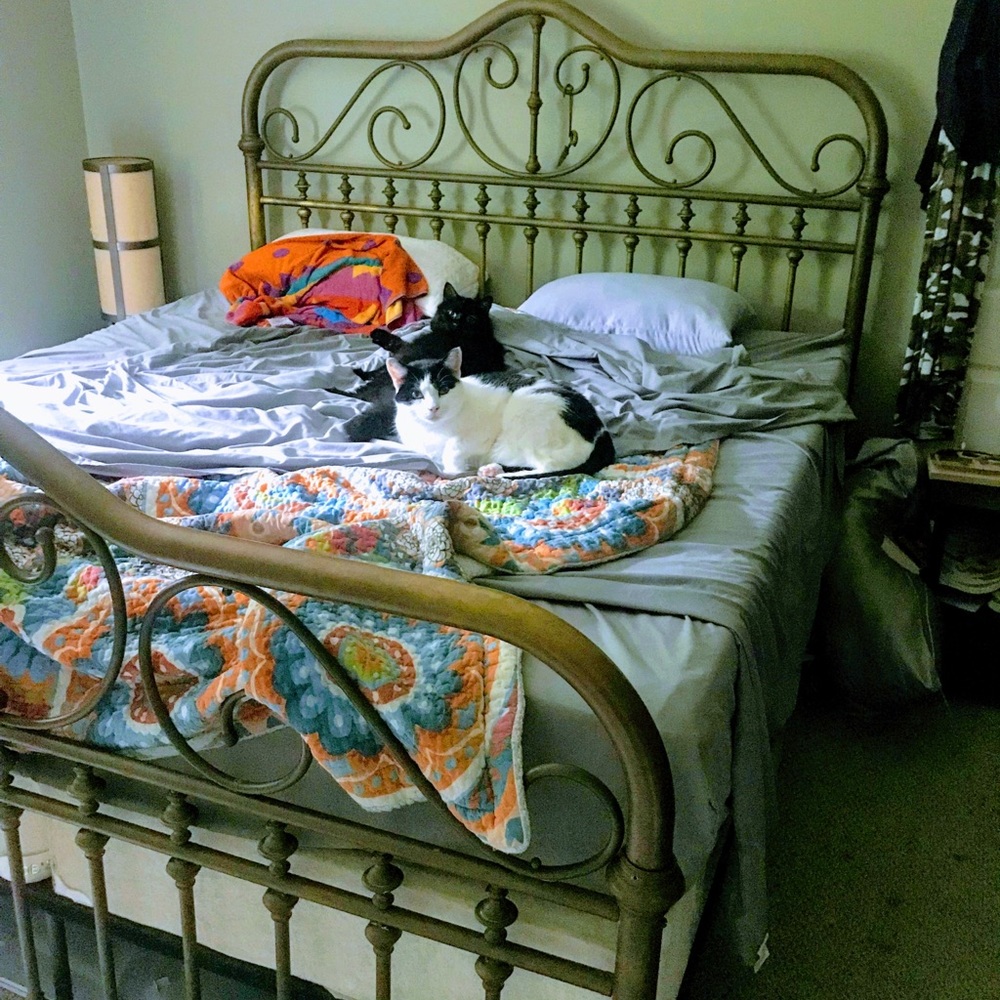 Meet your Posher, Maggie.